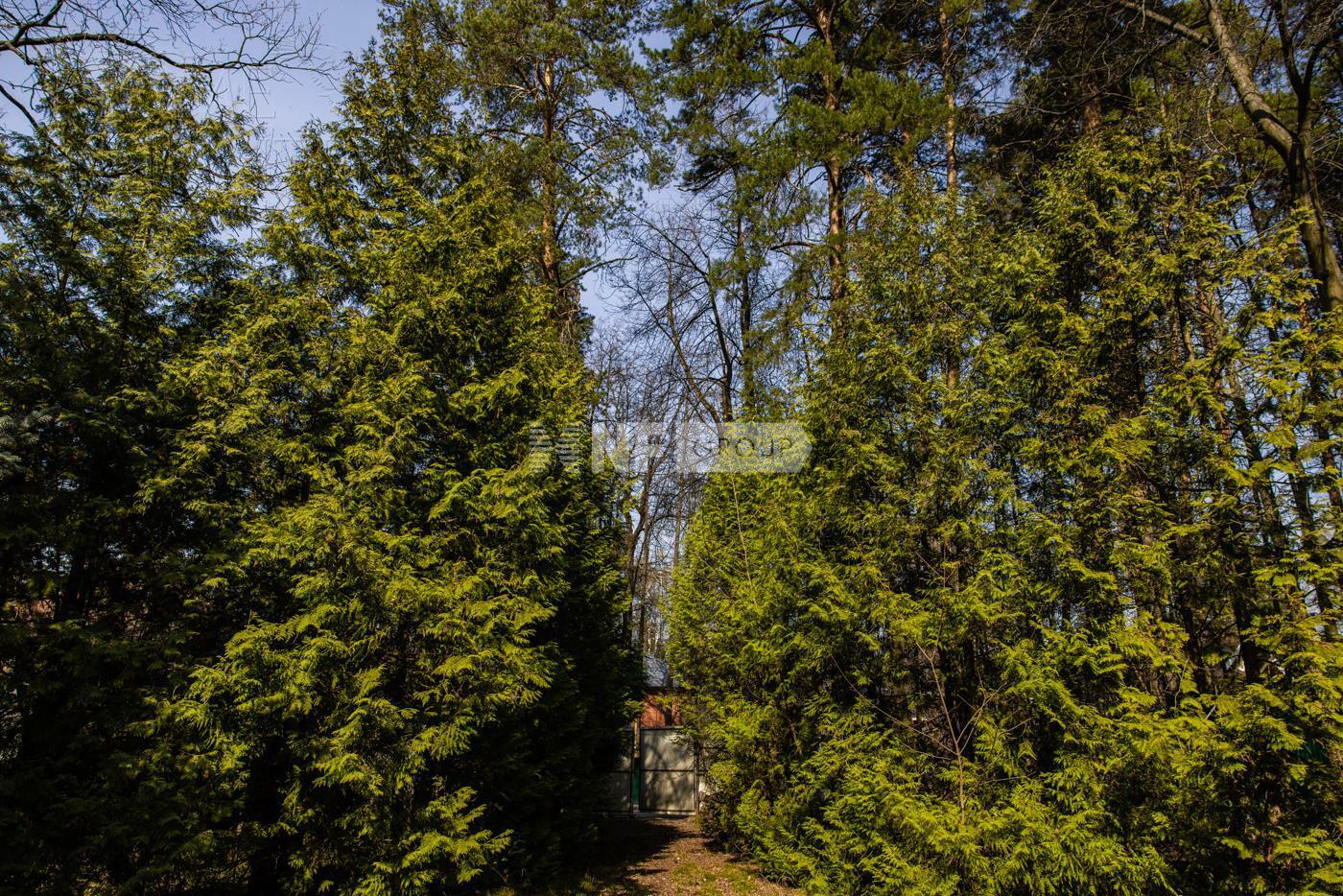 Участок 25.93 сот. в охраняемом поселке