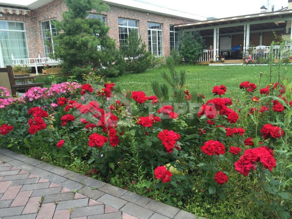 2-этажный коттедж 1 200 м² с отделкой