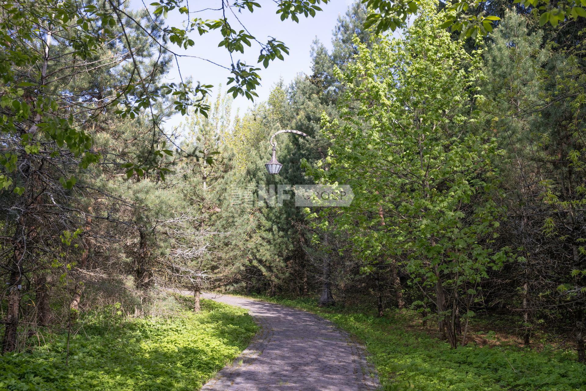 Участок 183 сот. в охраняемом поселке