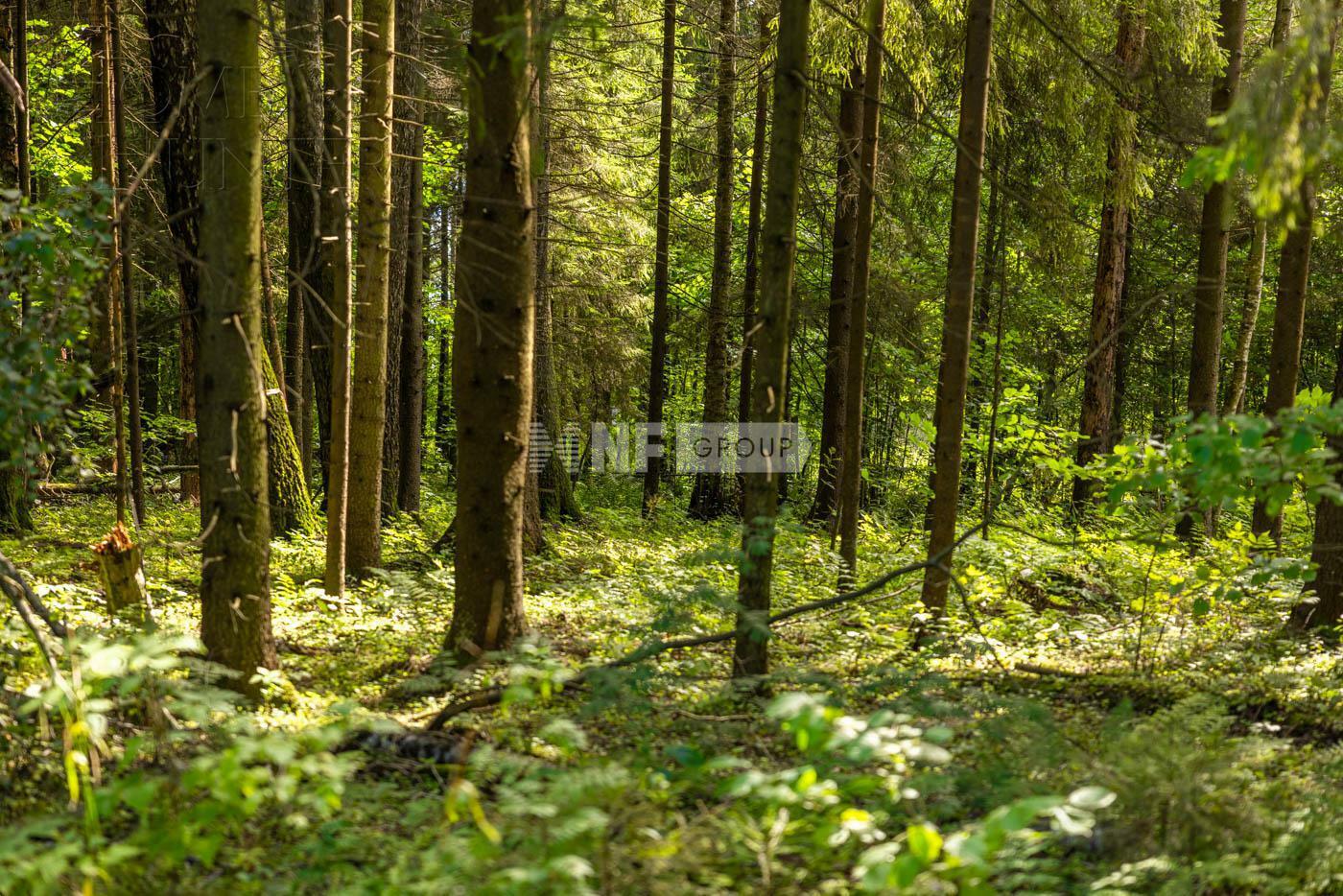 2-этажный коттедж 583 м² с отделкой