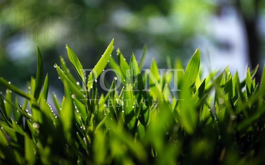 Участок 22.92 сот.