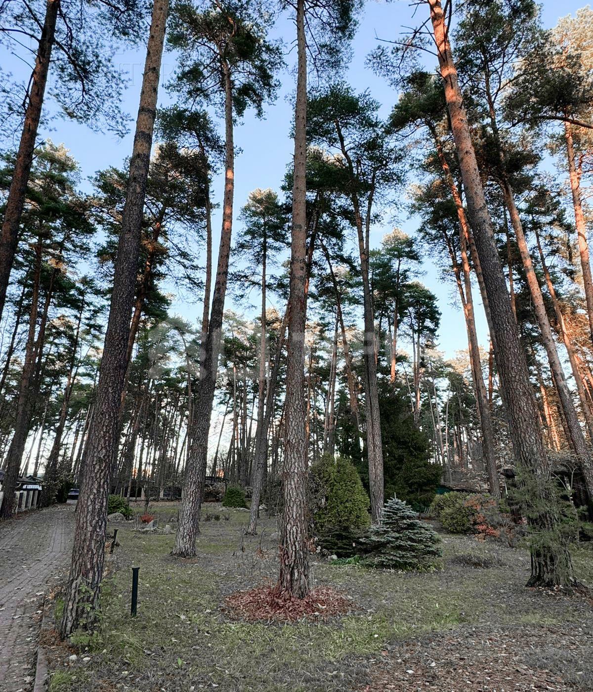 2-этажный коттедж 1 400 м² с отделкой