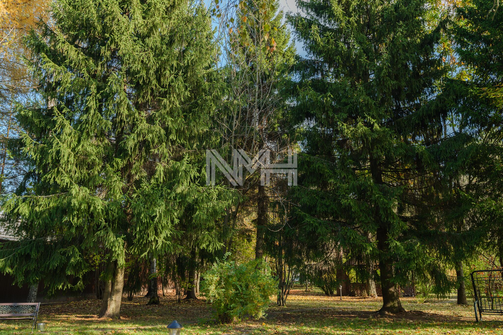 Участок 15 сот.