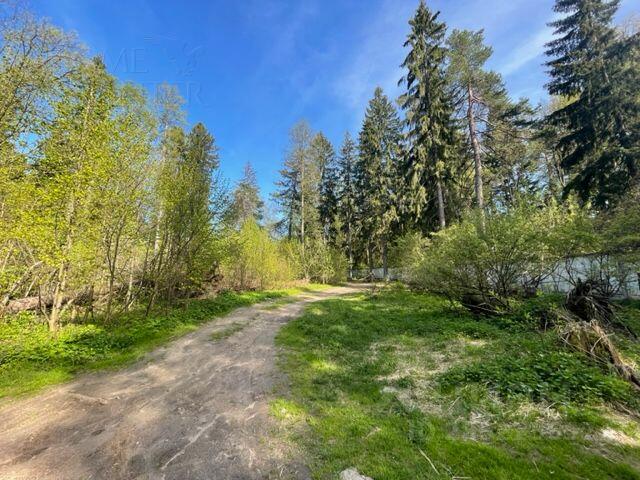 Участок 520 сот. в охраняемом поселке