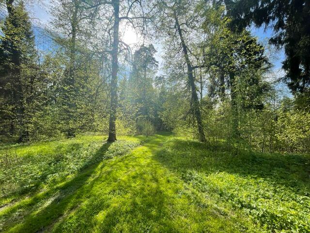 Участок 520 сот. в охраняемом поселке