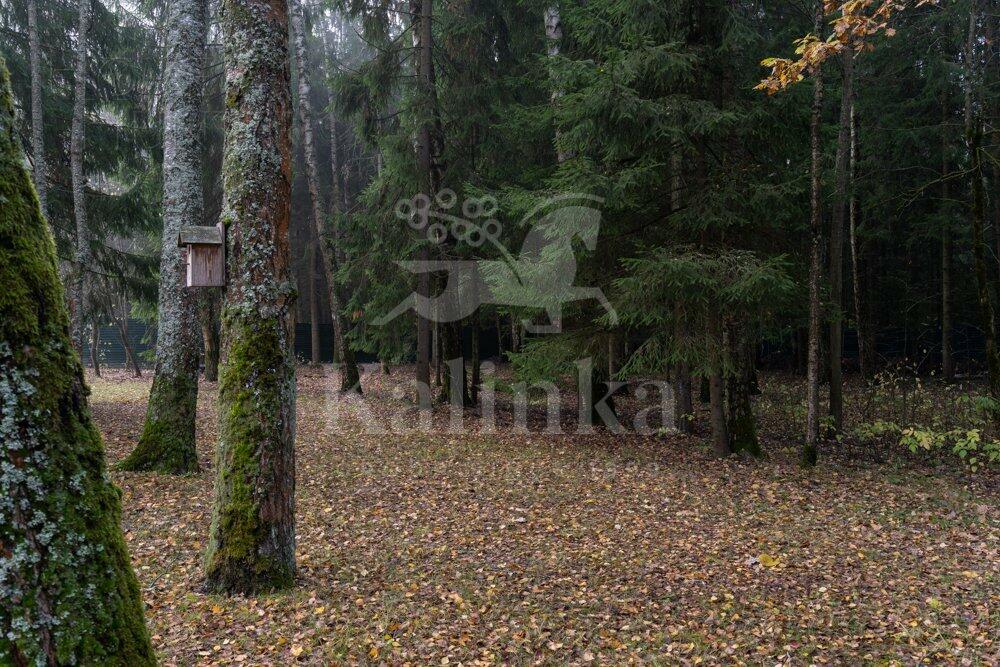 3-этажный коттедж 700 м² с отделкой