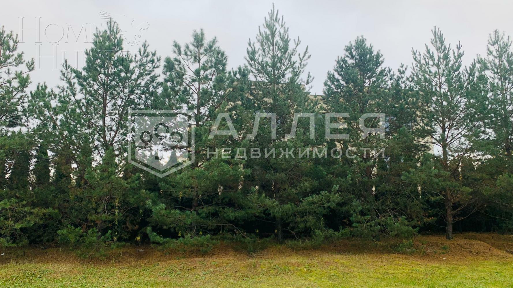 Участок 22.6 сот. в охраняемом поселке