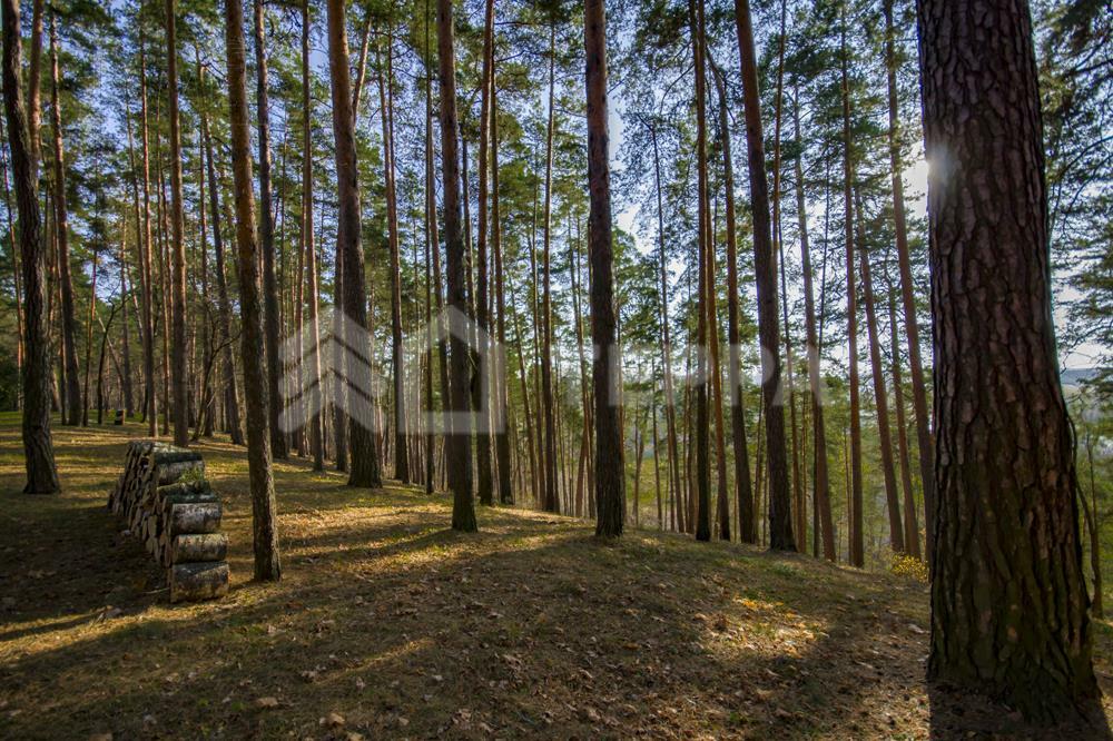 Участок 40 сот. в охраняемом поселке