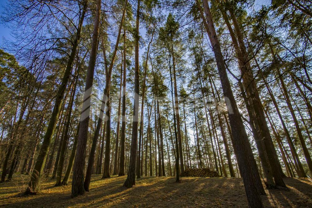 Участок 40 сот. в охраняемом поселке