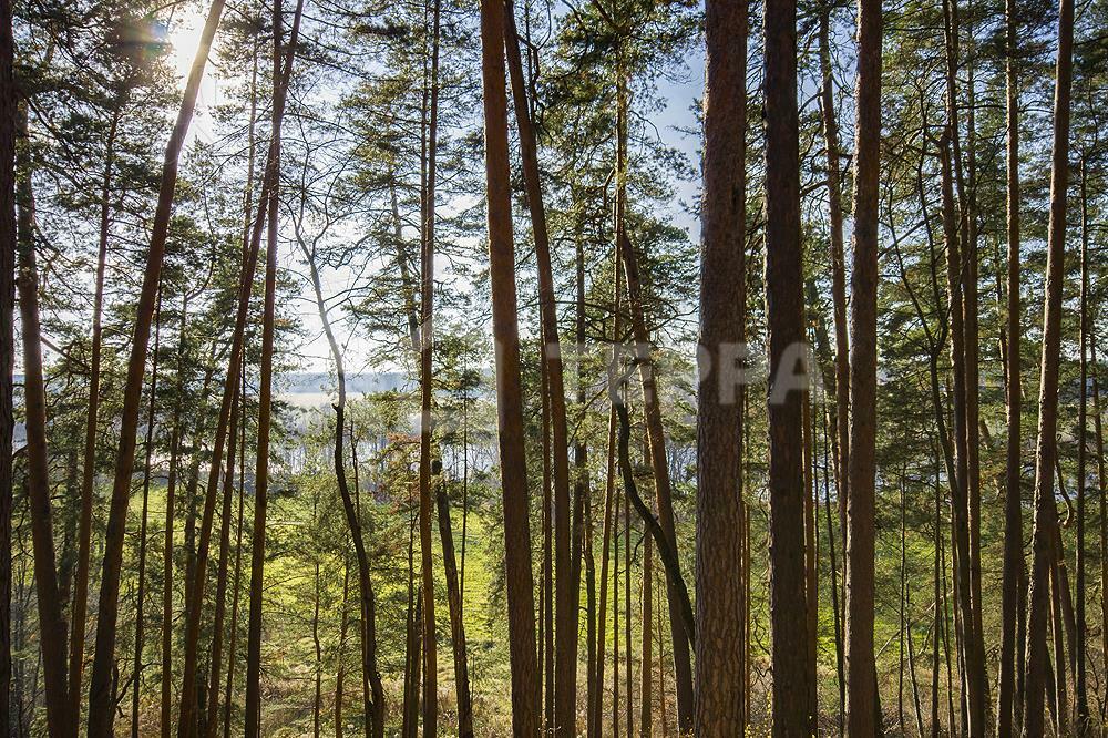 Участок 60 сот. в охраняемом поселке