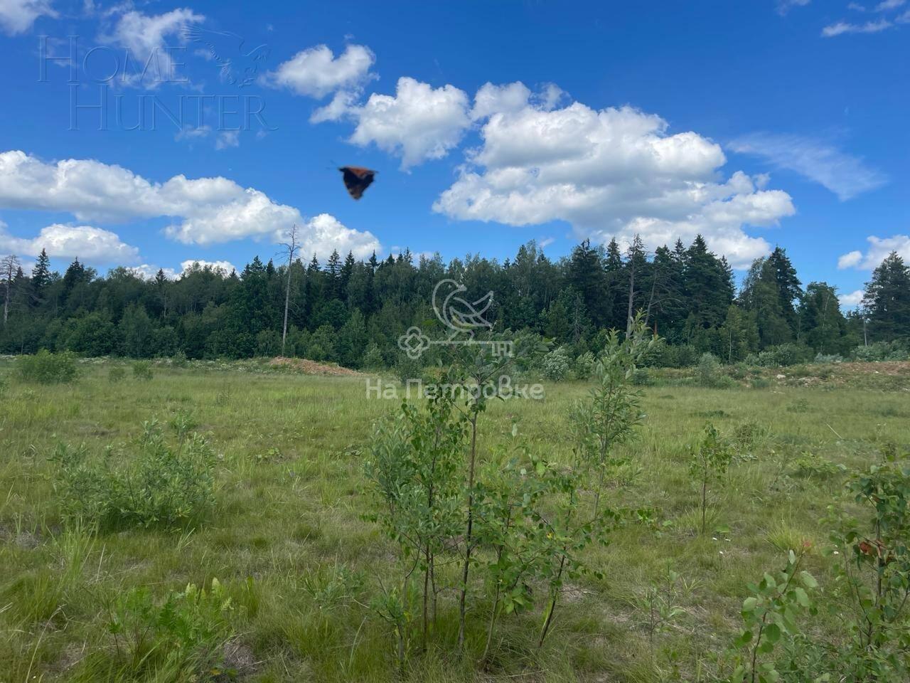 Участок 1 014 сот.