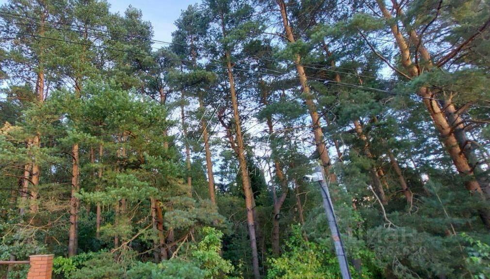 Участок 18.9 сот.