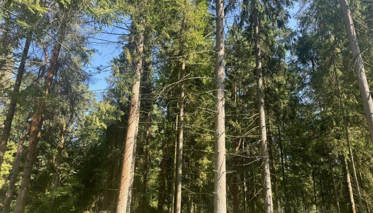 Участок 14.4 сот.