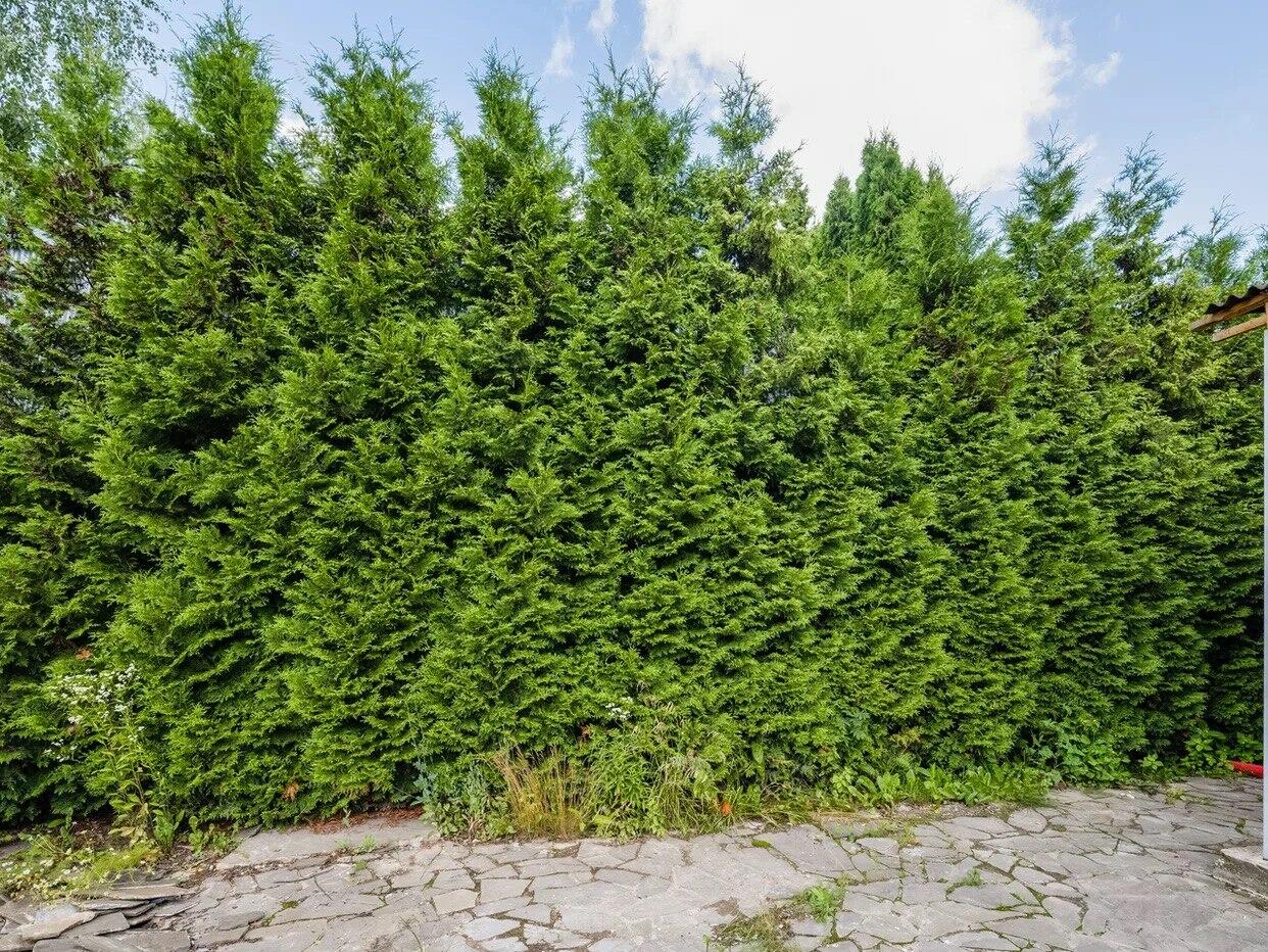 2-этажный коттедж 300 м² с отделкой