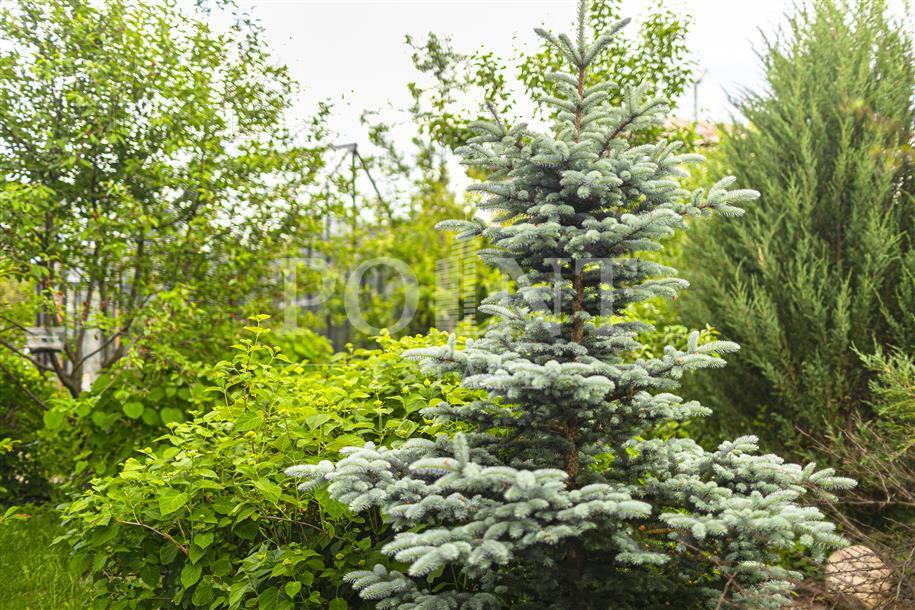 2-этажный коттедж 260 м² с отделкой