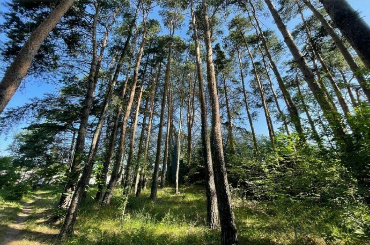 Участок 170 сот.