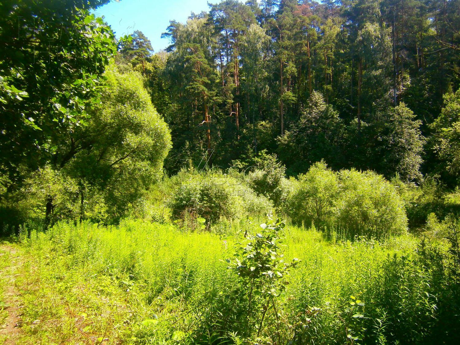 Участок 170 сот.