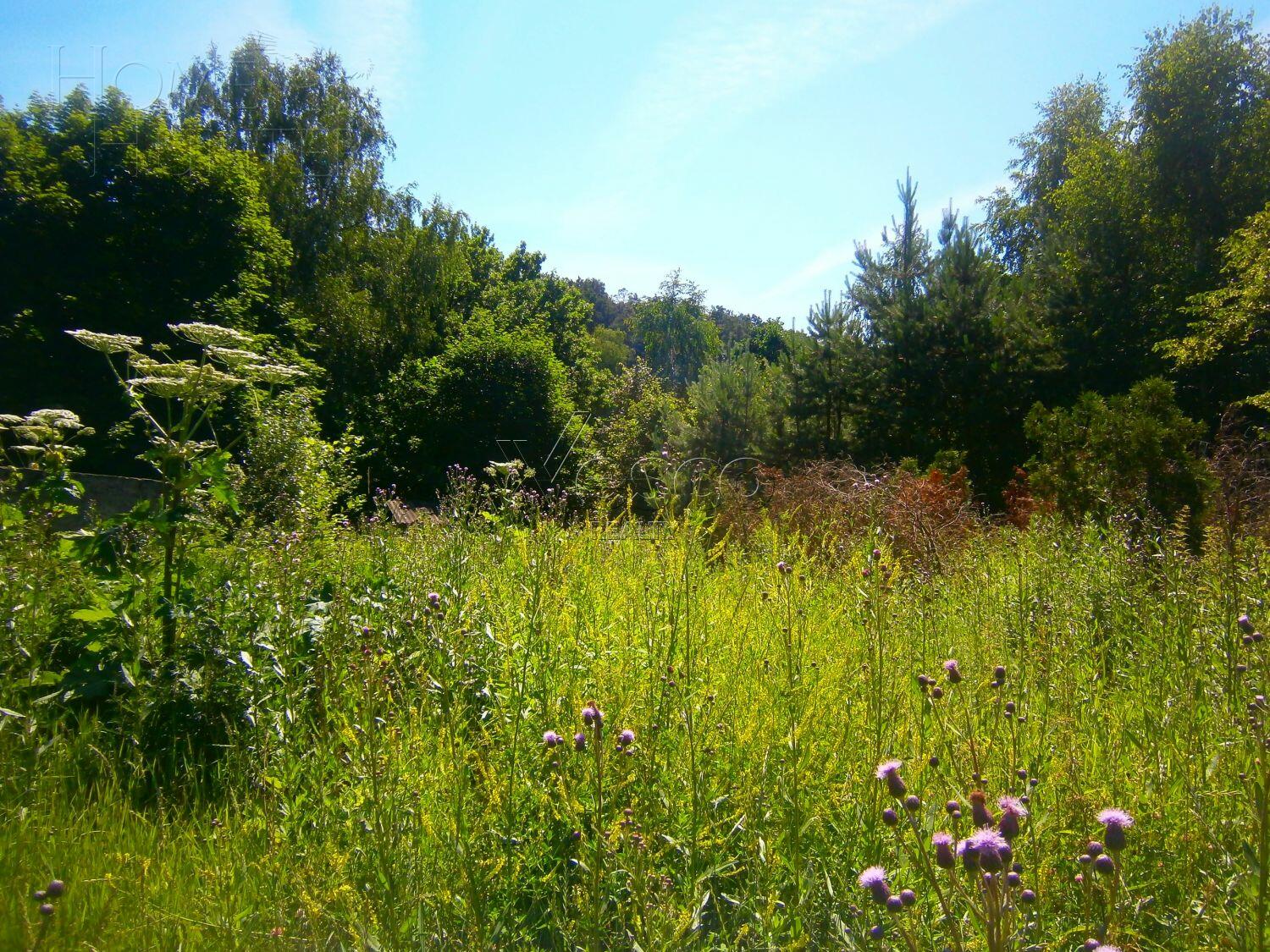 Участок 170 сот.