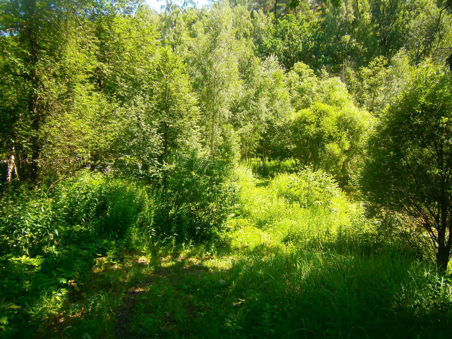 Участок 170 сот.