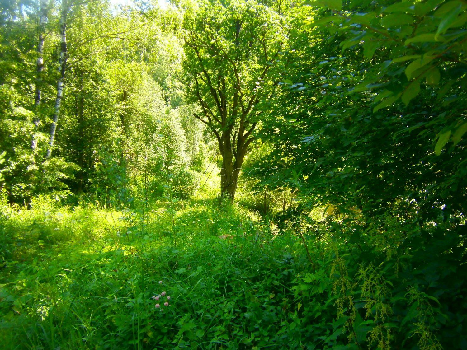 Участок 170 сот.