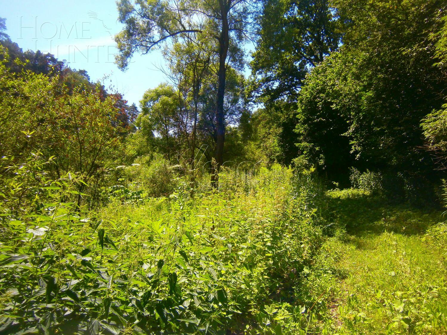 Участок 170 сот.