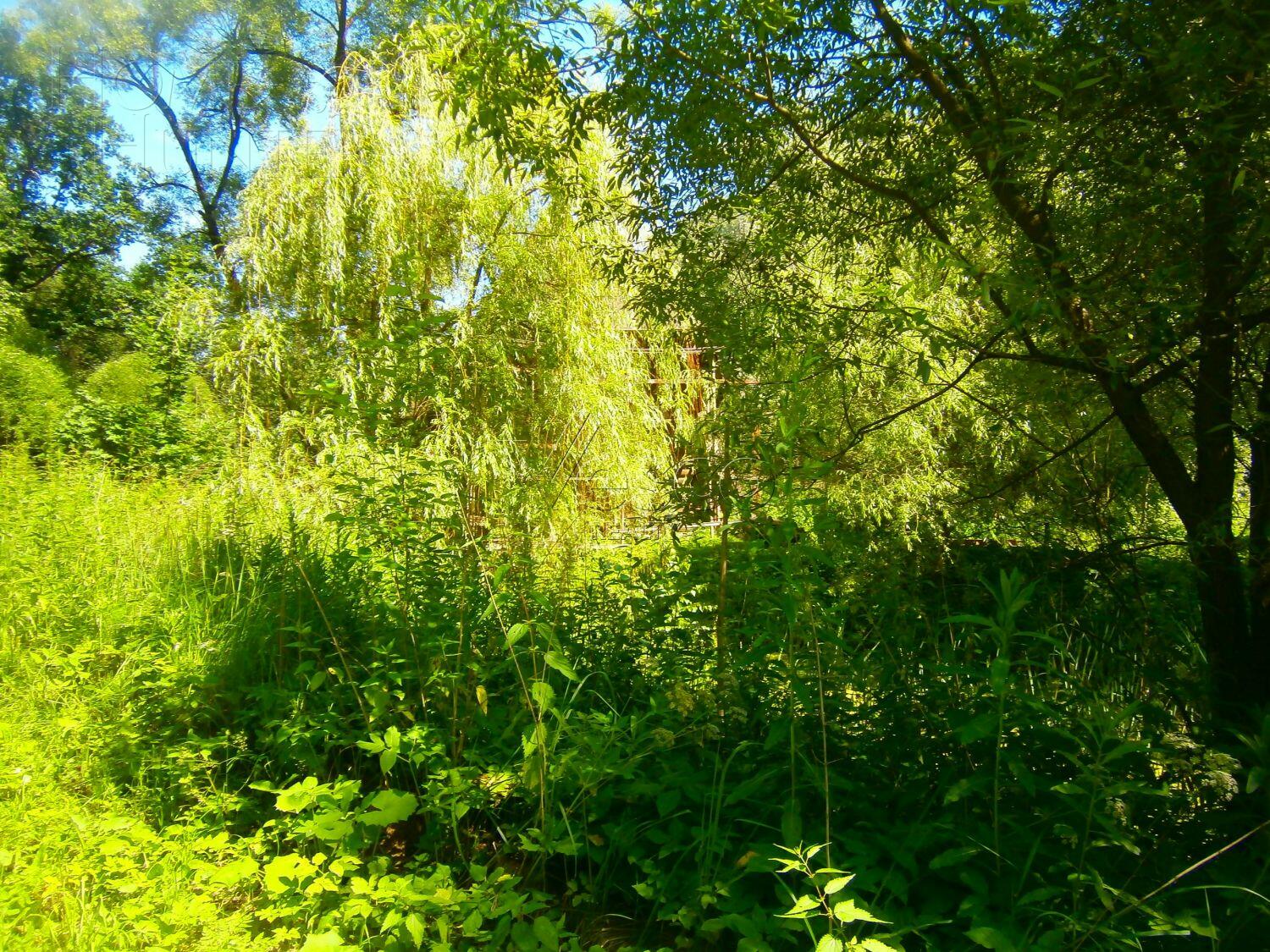 Участок 170 сот.