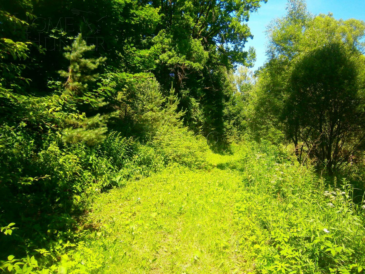 Участок 170 сот.