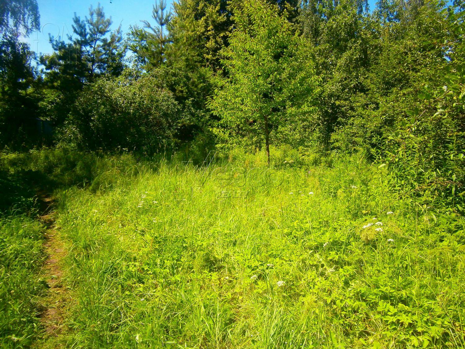 Участок 170 сот.