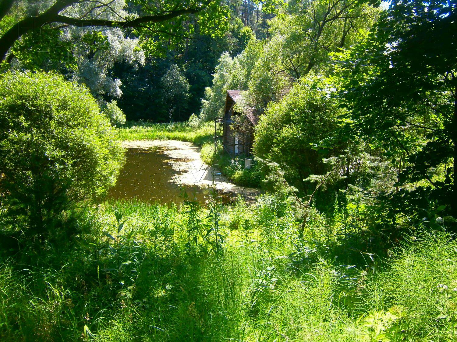 Участок 170 сот.