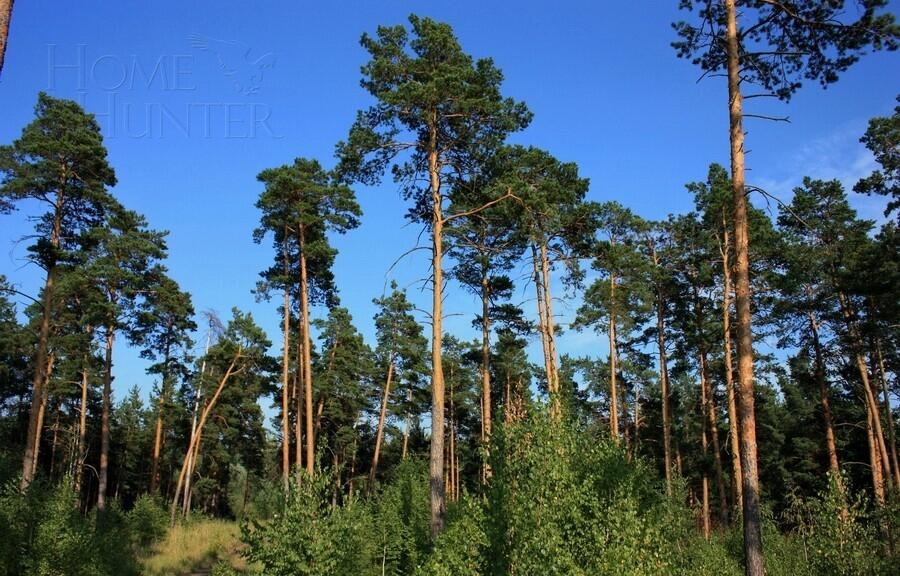 Участок 90 сот. в охраняемом поселке