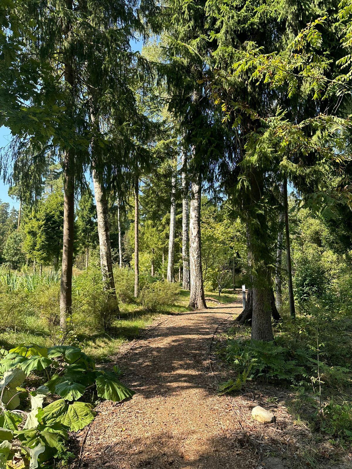 Участок 90 сот. в охраняемом поселке