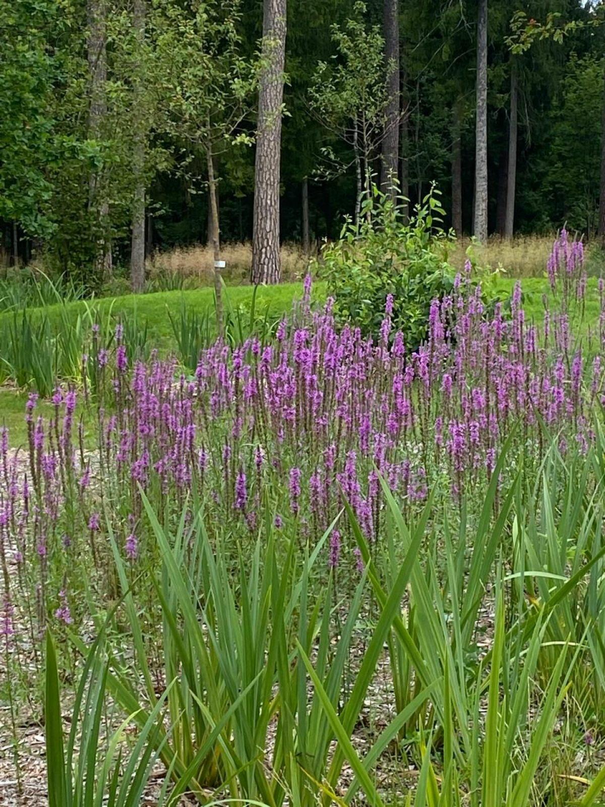 Участок 90 сот. в охраняемом поселке