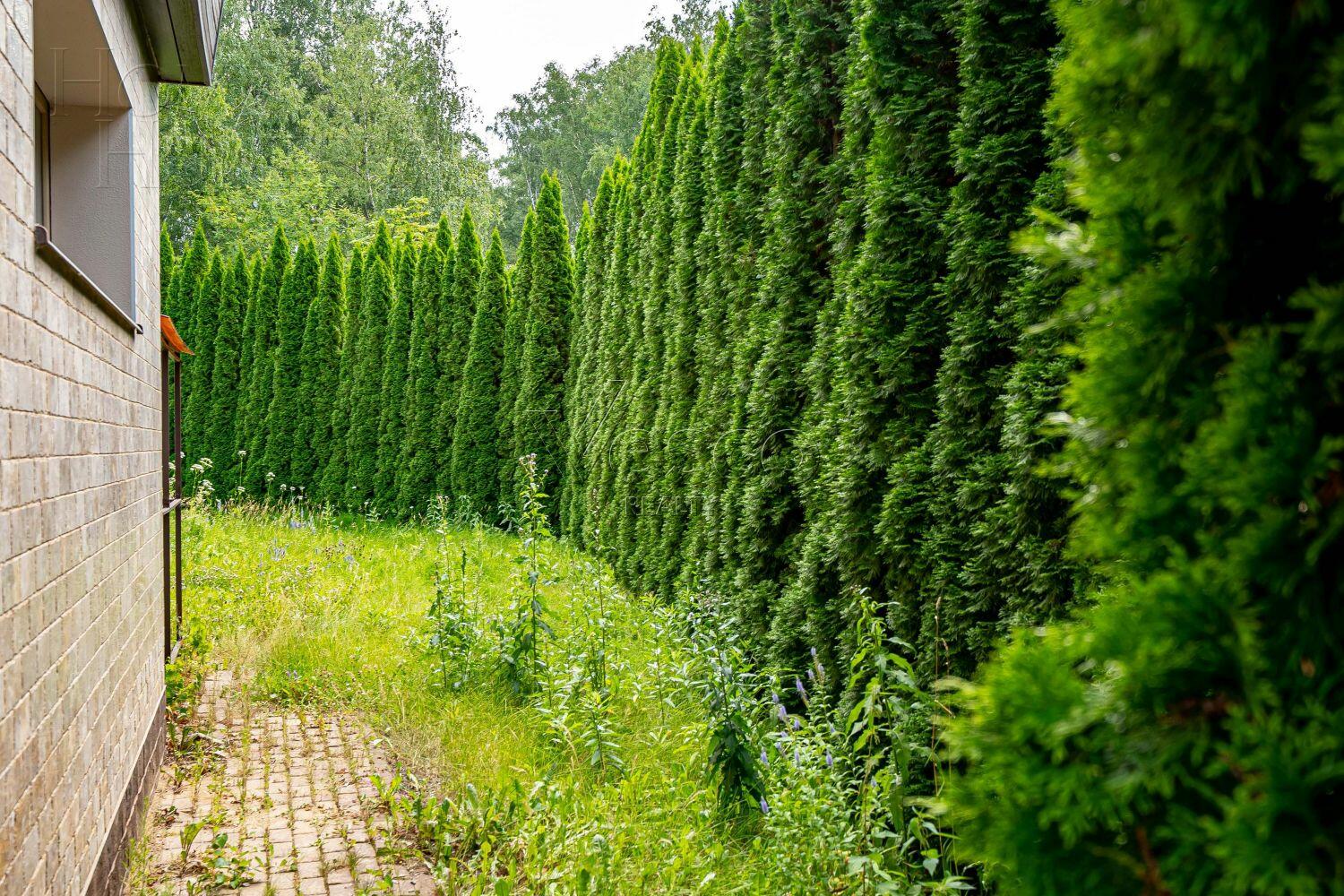 3-этажный таунхаус 323 м² без отделки