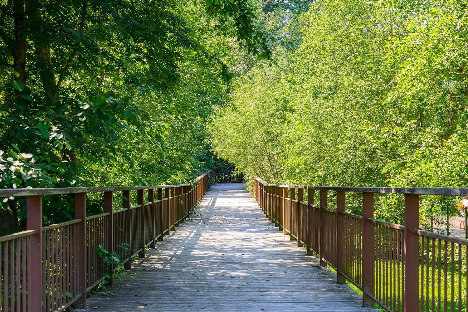 Участок 54.3 сот. в охраняемом поселке