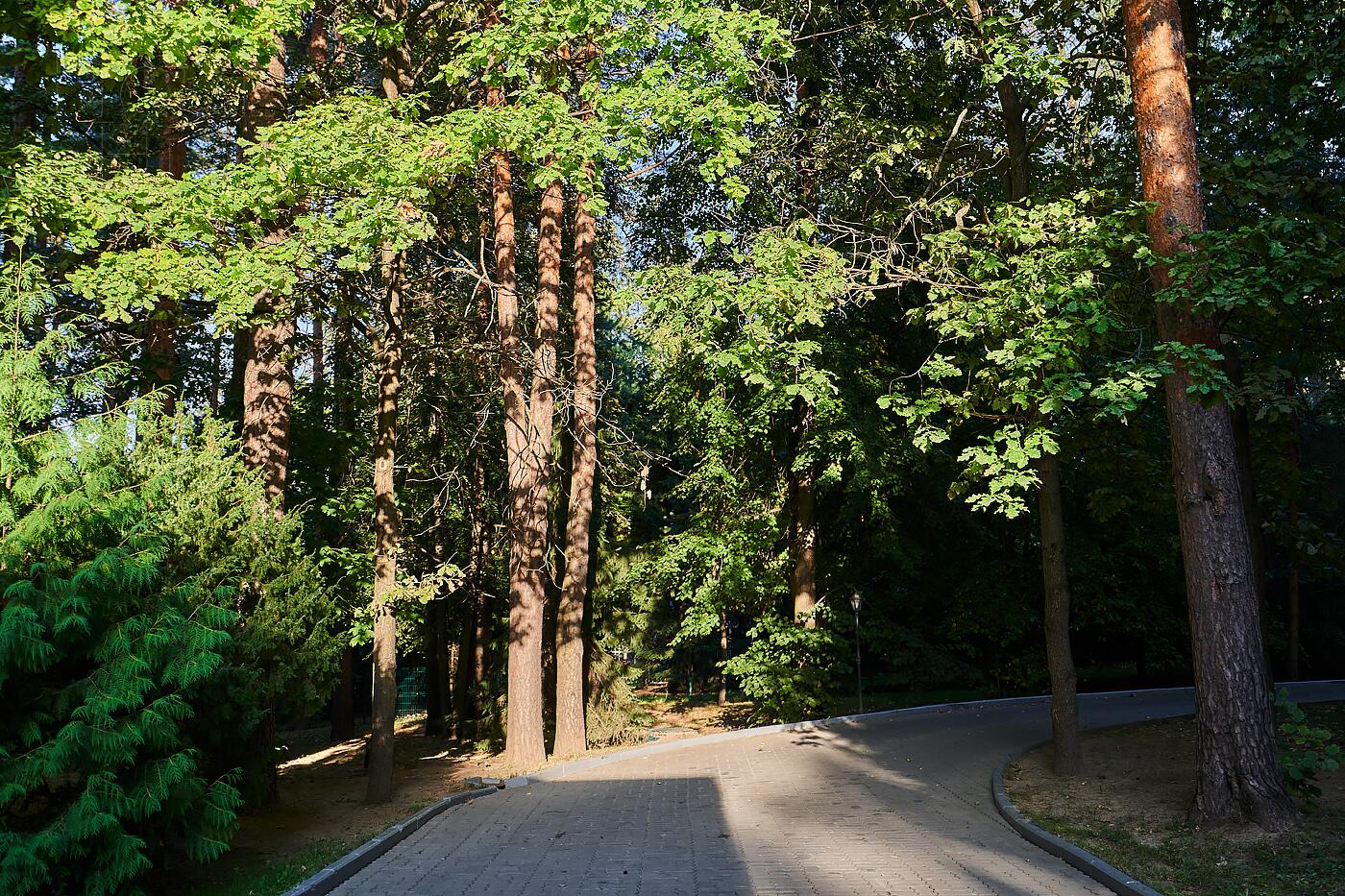 5-КОМН. КВАРТИРА С ОТДЕЛКОЙ 220.3 М² НА 2 ЭТАЖЕ