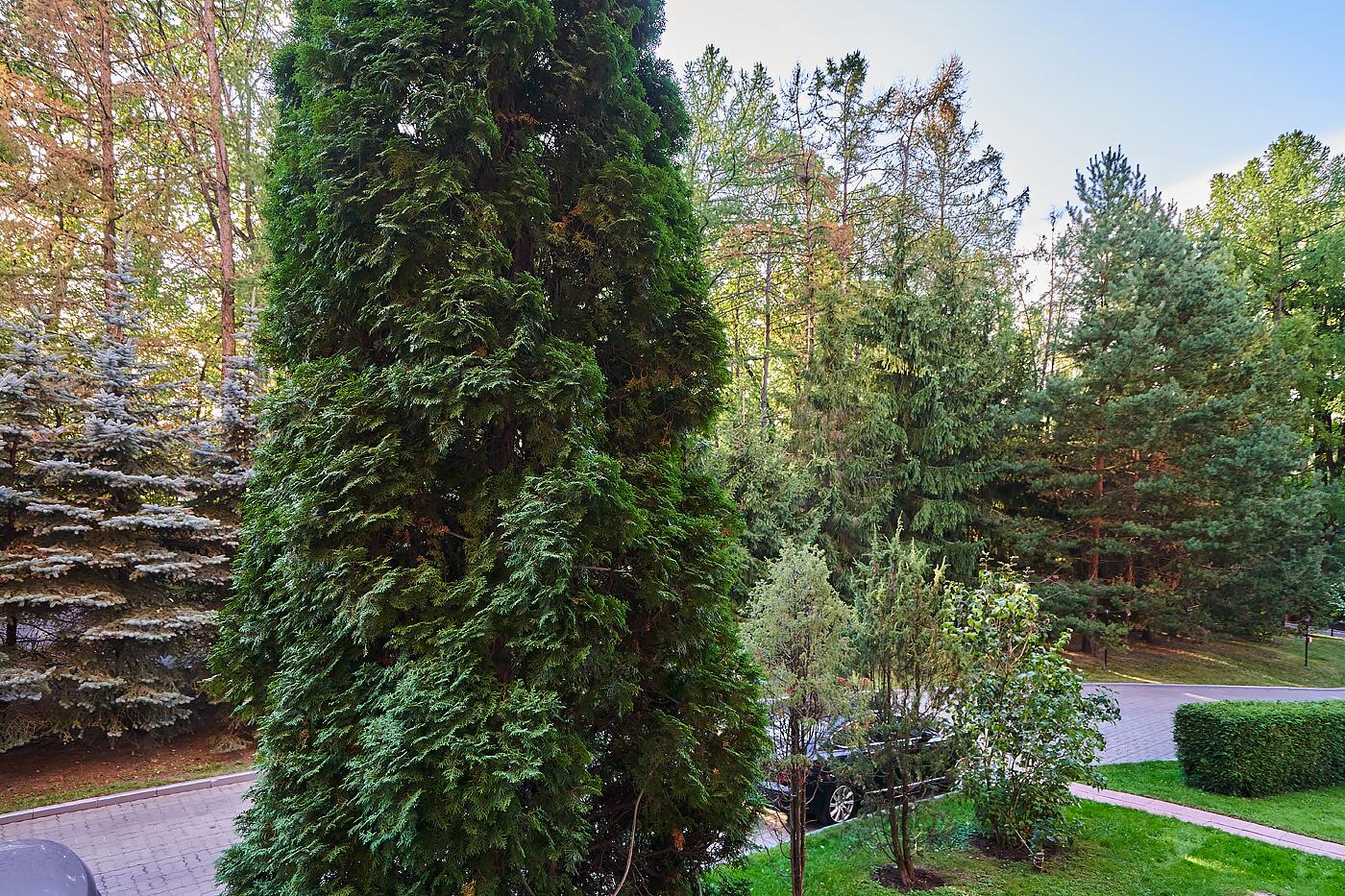 5-КОМН. КВАРТИРА С ОТДЕЛКОЙ 220.3 М² НА 2 ЭТАЖЕ