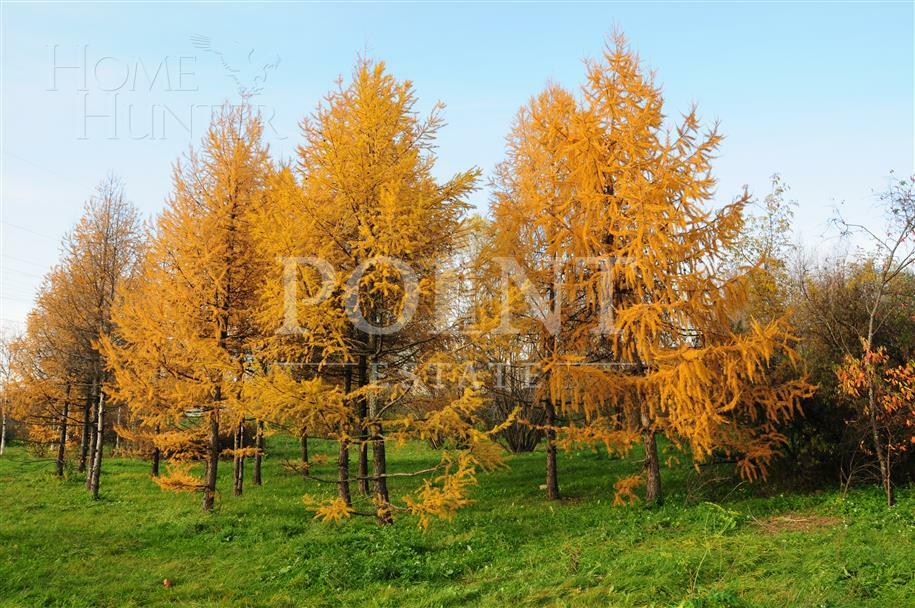 Участок 24.36 сот. в охраняемом поселке