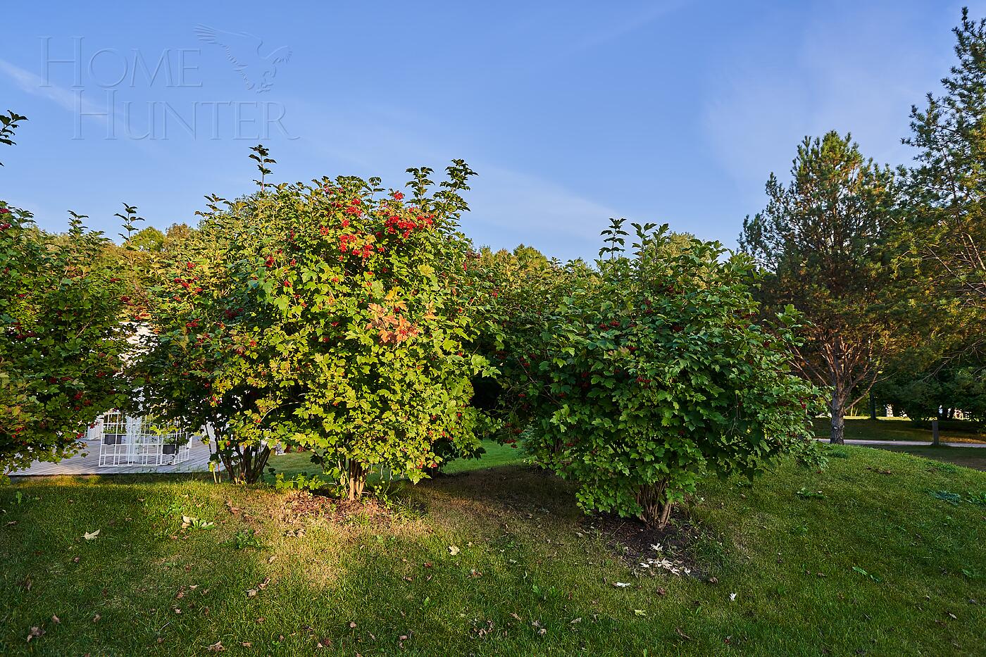 5-КОМН. КВАРТИРА С ОТДЕЛКОЙ 220.3 М² НА 2 ЭТАЖЕ