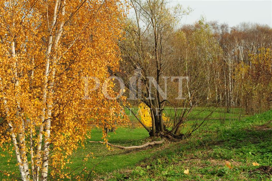 Участок 24.36 сот. в охраняемом поселке