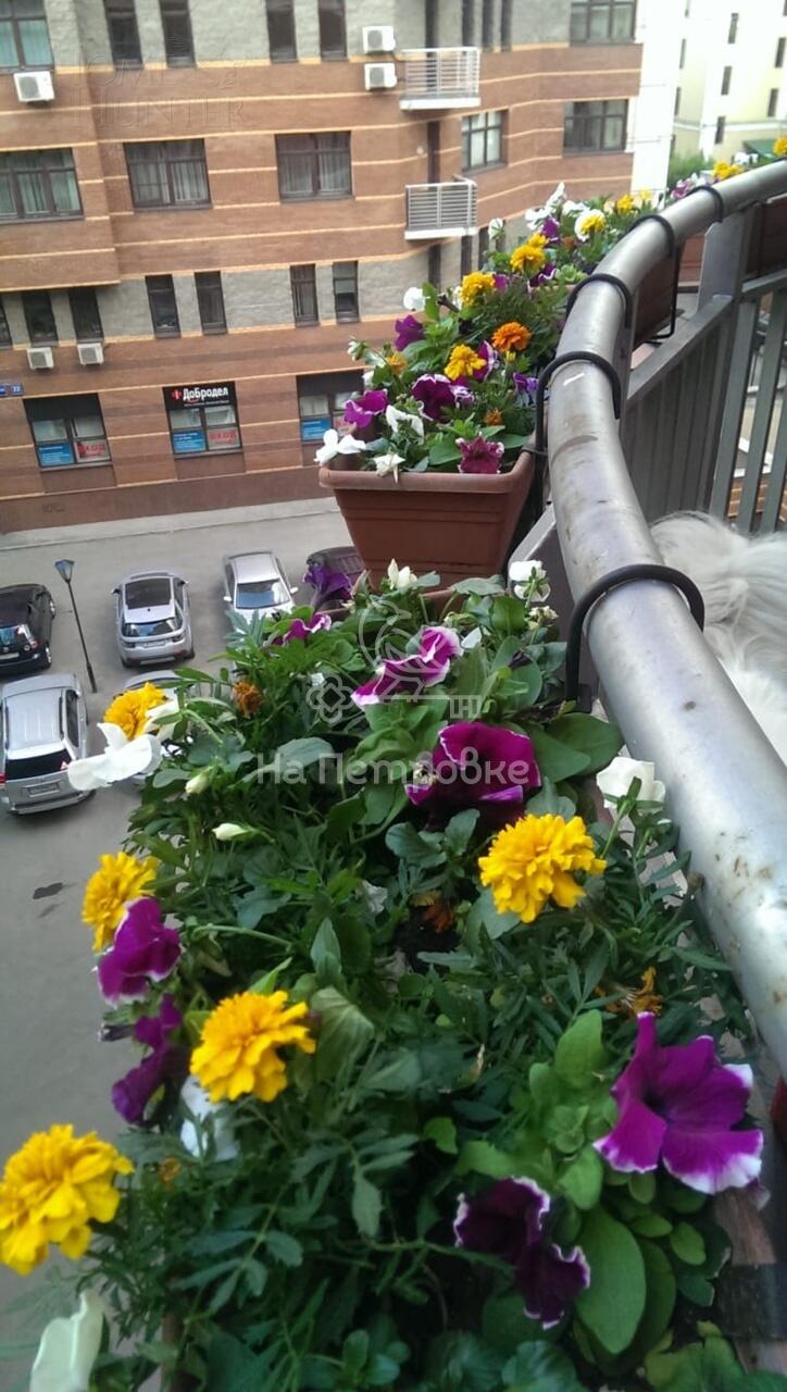 3-КОМН. КВАРТИРА С ОТДЕЛКОЙ 122.5 М² НА 5 ЭТАЖЕ