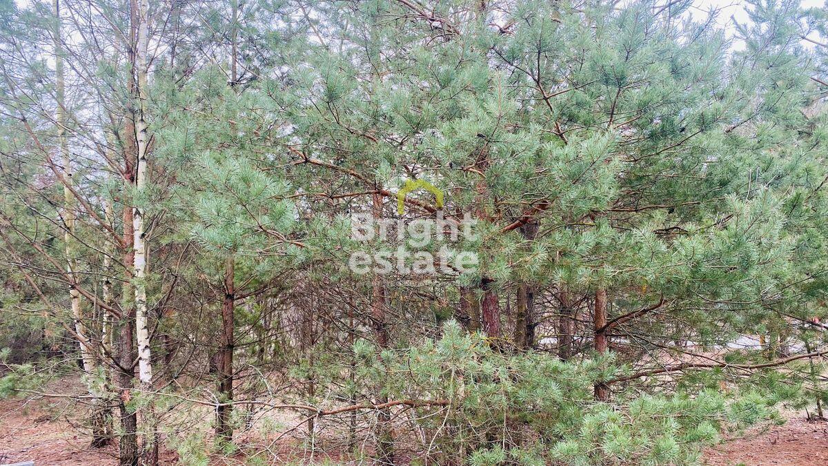 Участок 240 сот.