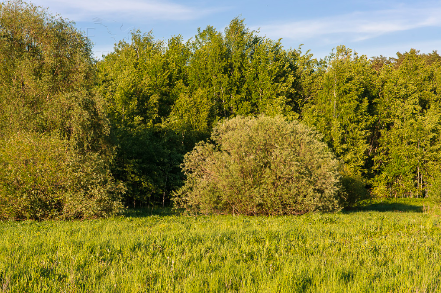 Участок 42.8 сот. в охраняемом поселке