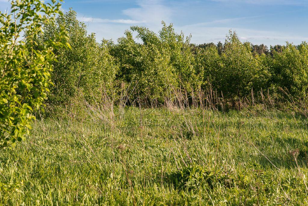 Участок 38.63 сот. в охраняемом поселке