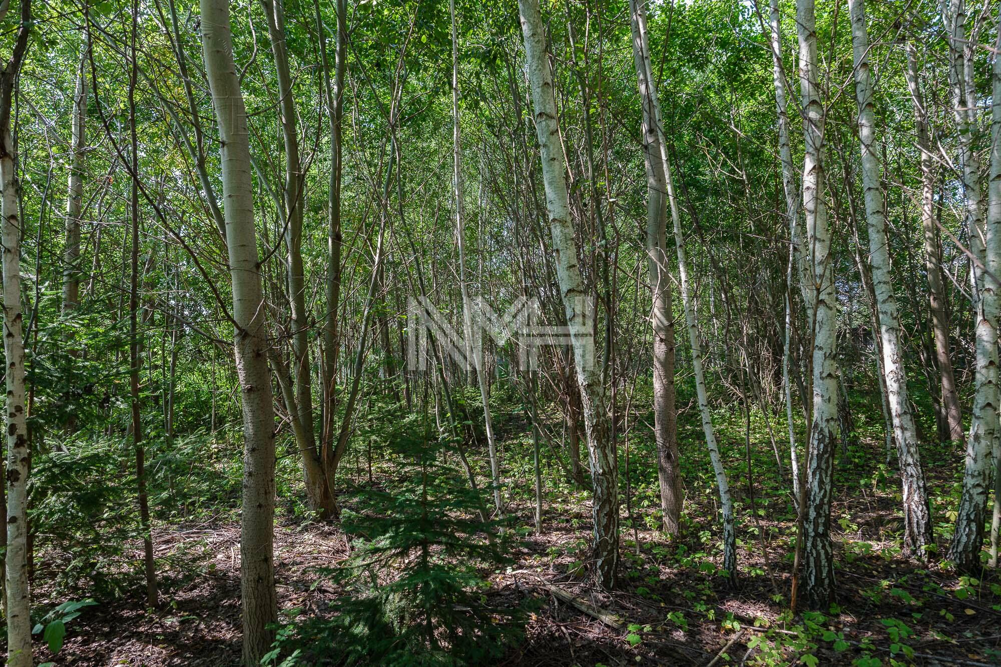 Участок 12 сот. в охраняемом поселке