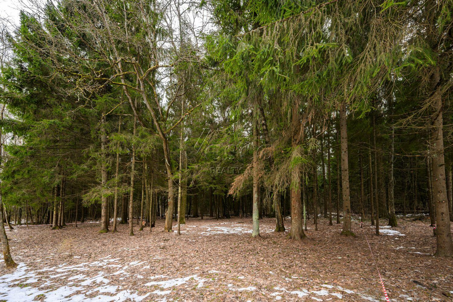 Участок 34.7 сот. в охраняемом поселке