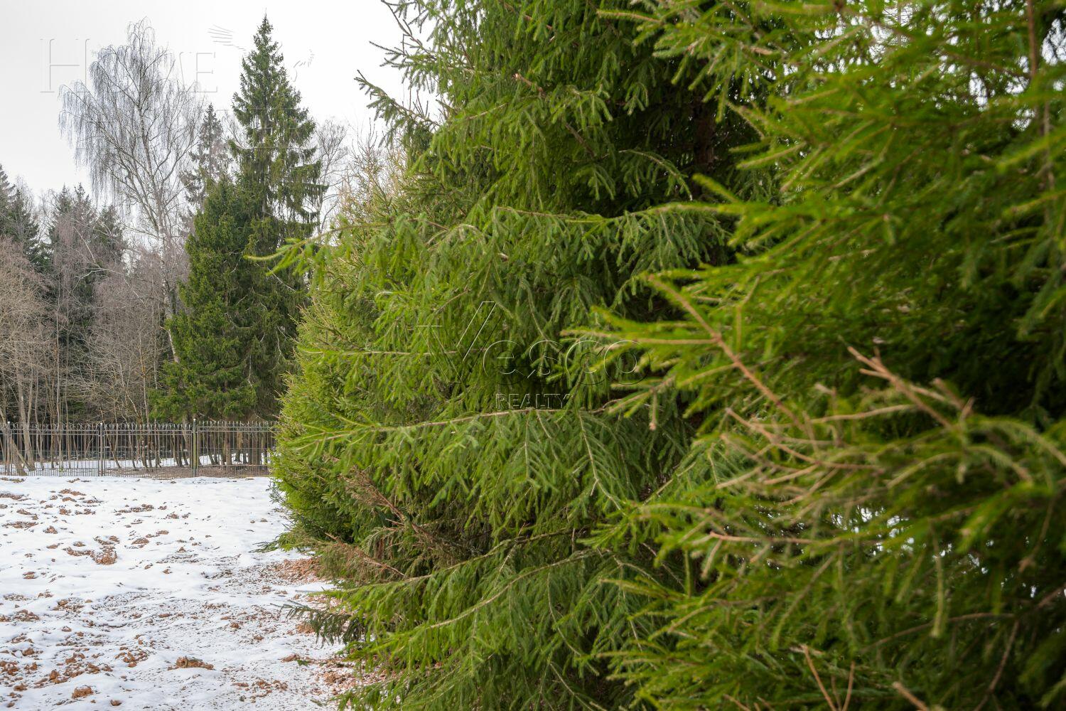 Участок 34.7 сот. в охраняемом поселке