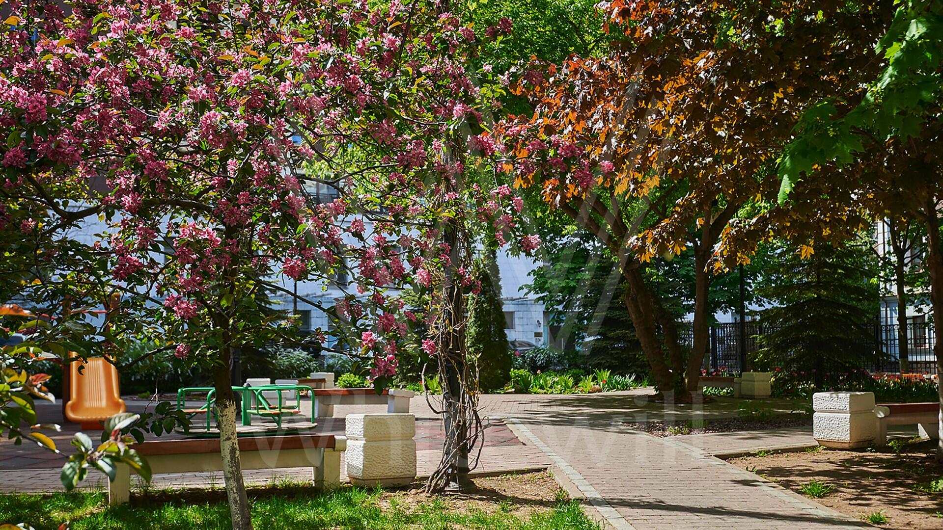 2-УРОВНЕВЫЙ ПЕНТХАУС С ОТДЕЛКОЙ 273 М² НА 7 ЭТАЖЕ