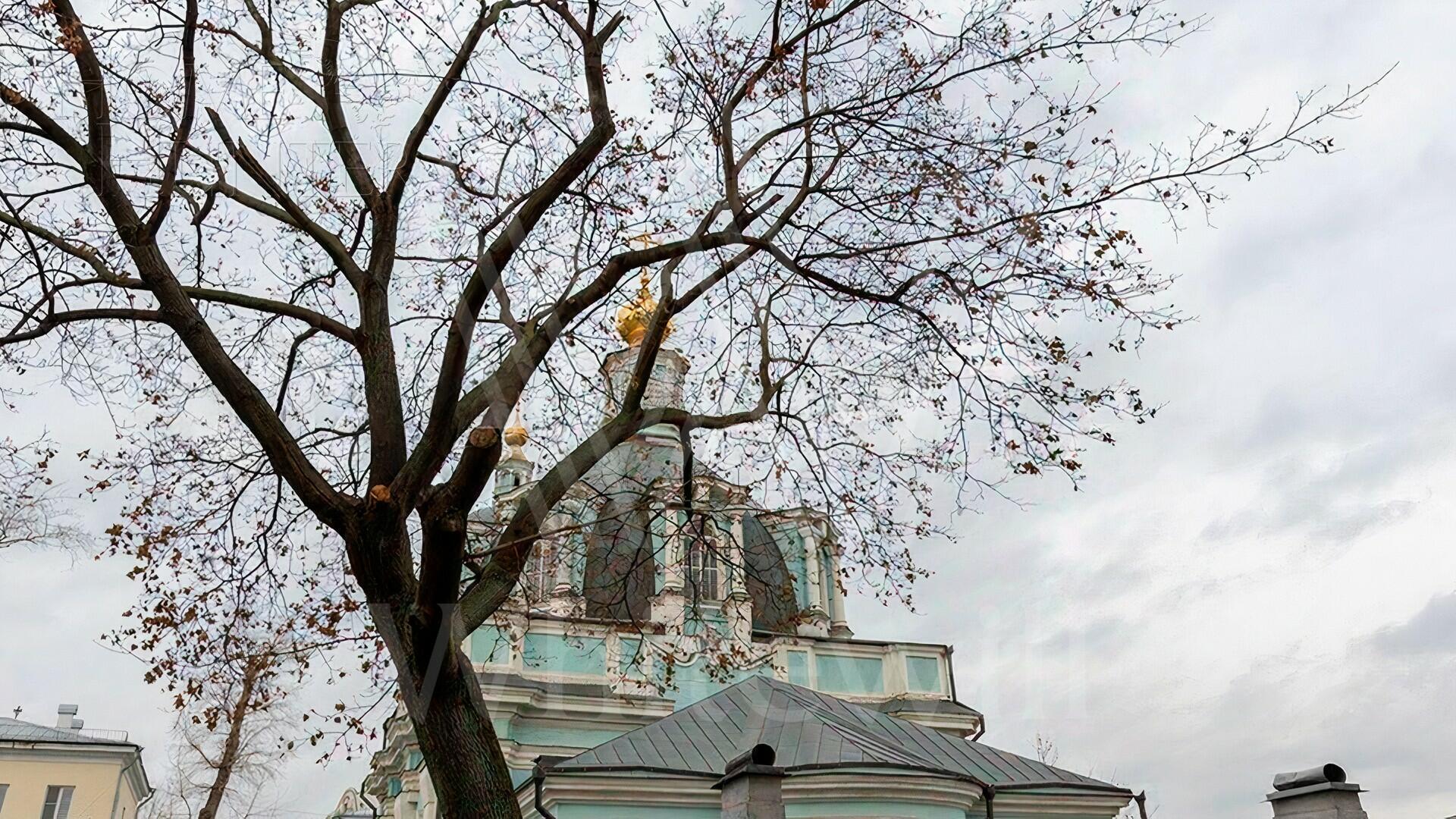 2-КОМН. АПАРТАМЕНТЫ С ОТДЕЛКОЙ 98.2 М² НА 1 ЭТАЖЕ