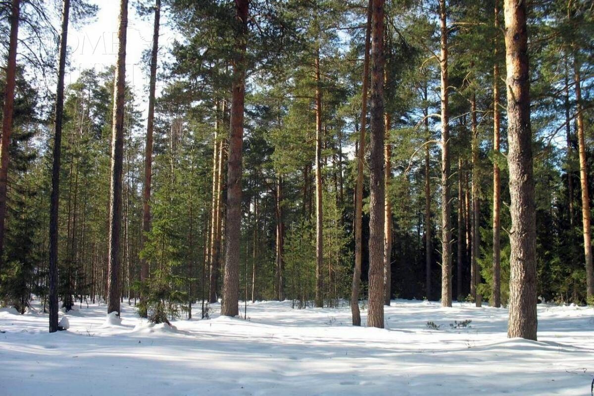 Участок 11.1 сот. в охраняемом поселке