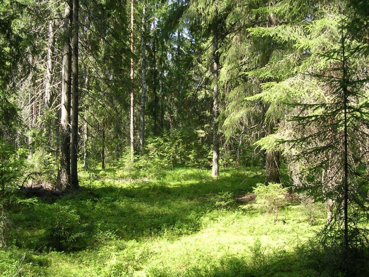 Участок 11.1 сот. в охраняемом поселке